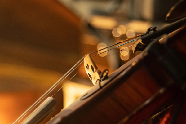 Violon
